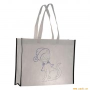 <b>時(shí)尚創(chuàng)意手提袋</b>