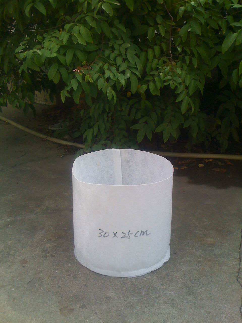 無紡布植樹袋有什么好處？