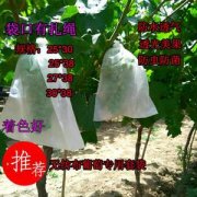 <b>無紡布葡萄套袋_透氣嗎?</b>