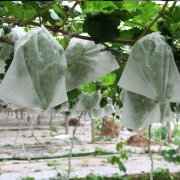 葡萄套袋定做批發