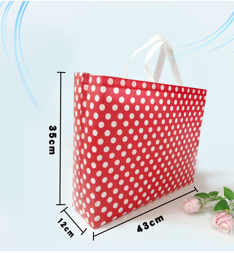 立體無紡布覆膜袋