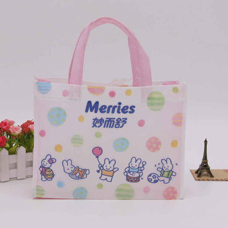 100克無(wú)紡布包裝袋