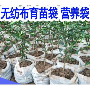 無紡布種植袋有毒嗎？