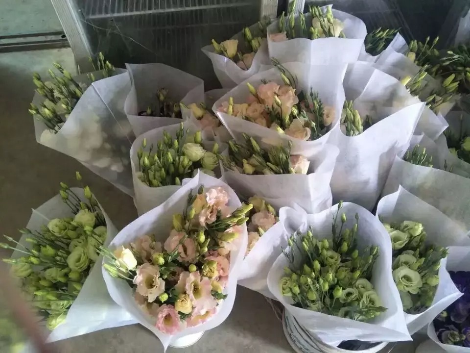 微信圖片_20180510102326