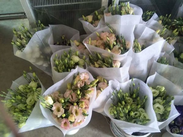 無紡布鮮花套袋批發(fā)定做廠家