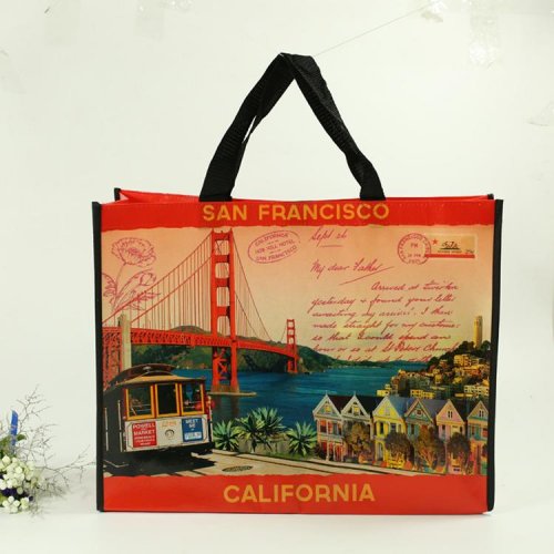 100g 無(wú)紡布PP編織促銷(xiāo)購(gòu)物袋