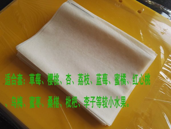 無紡布冬棗套袋_櫻桃套袋草莓套袋杏套袋紙袋防蟲防農藥污染