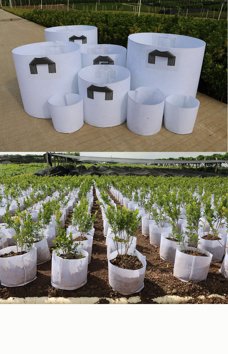 蔬菜用無紡布育苗袋 美植袋