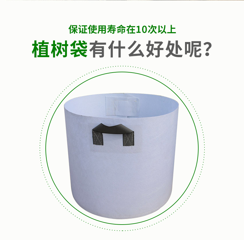 控根器_02