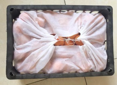 水果筐內用的無紡布袋