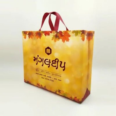 Elegant Nonwoven Laminated Box Bag 優雅的無紡布層壓箱袋