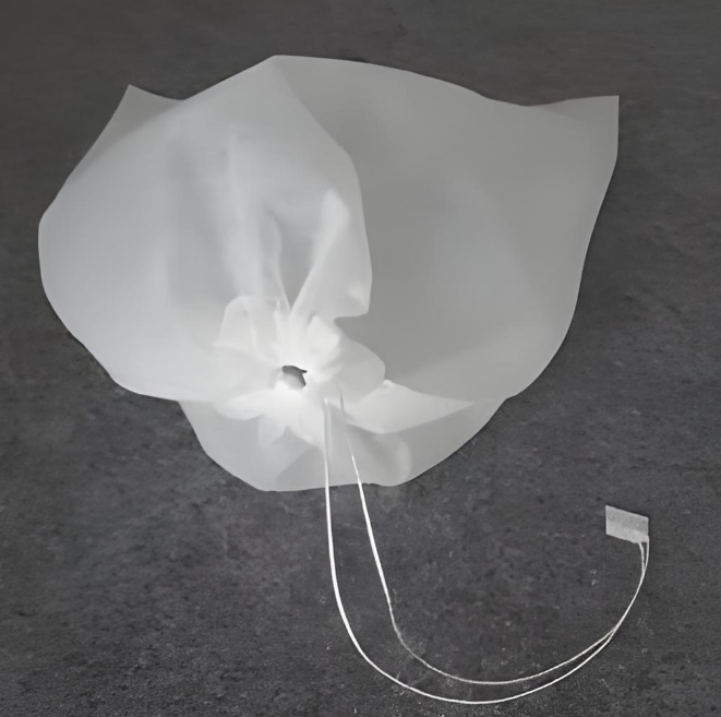 2026新款 無紡布葡萄套袋 防鳥防蟲防水防裂果 陽光玫瑰夏黑專用果袋