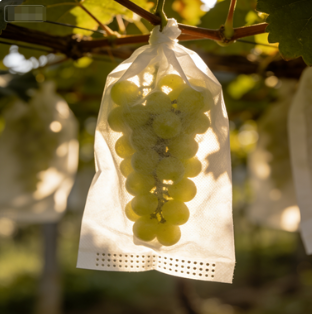 無紡布荔枝櫻桃專用防裂果袋 防鳥防蟲 妃子笑美早櫻桃保果護果神器