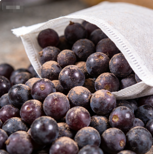 迷你無紡布冬棗草莓套袋 防裂果防灰霉病