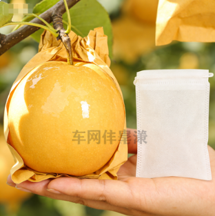 廠家直供 加厚防水透氣無紡布水果套袋