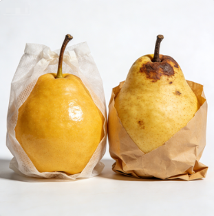 2026環保升級 全生物降解無紡布水果套袋